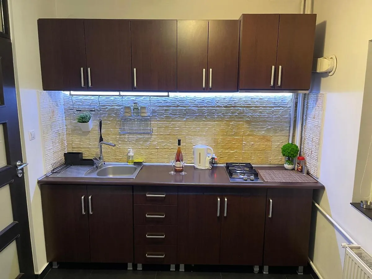 Sunset Luxury Apartment Near Unirii Square Βουκουρέστι