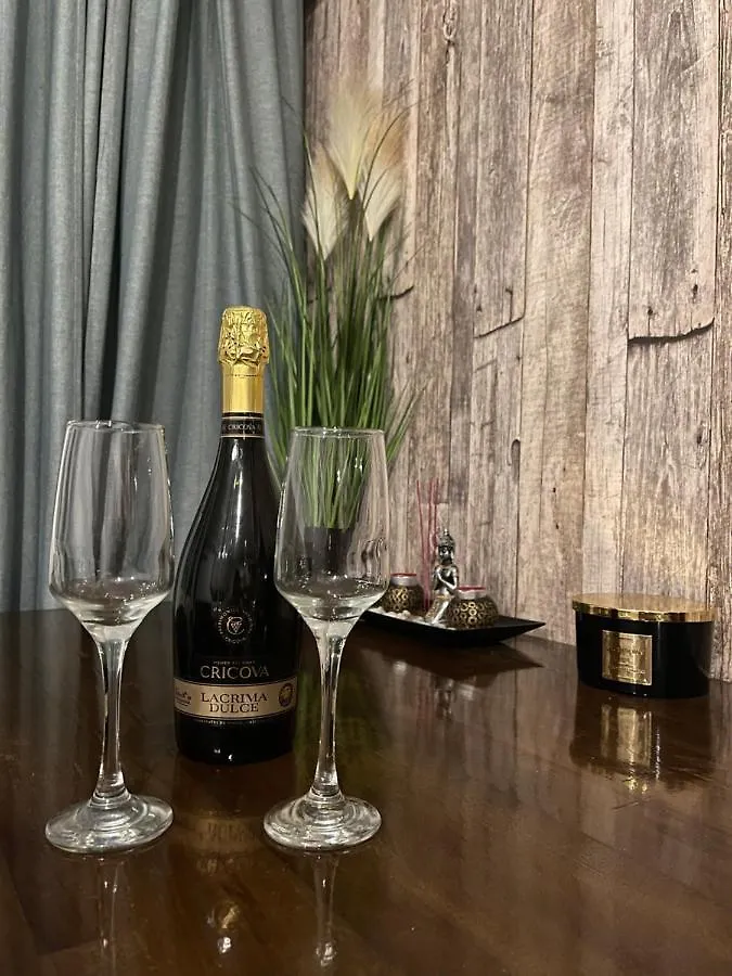 Sunset Luxury Apartment Near Unirii Square Bucharest